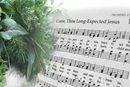“Come, Thou Long-Expected Jesus” is a prayer we can enter into during Advent and throughout the year. Image by Kathryn Price, United Methodist Communications.