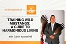 Rev. Calvin Yashie Hill, a guest on "Get Your Spirit in Shape," shares how training wild mustangs helped him develop a guide to building authentic relationships across cultures.